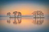 Mistige zonsopkomst aan de Reeuwijkse Plassen