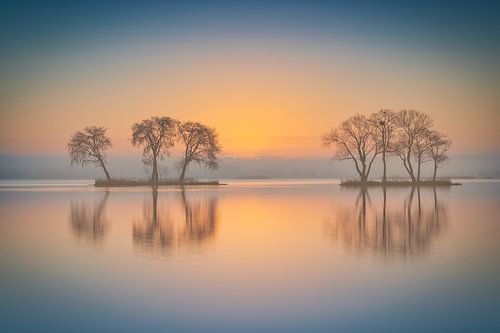 Mistige zonsopkomst aan de Reeuwijkse Plassen