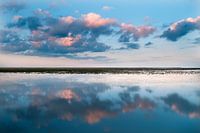 Woljen boven het wad van de Waddenzee bij Holwerd in Friesland