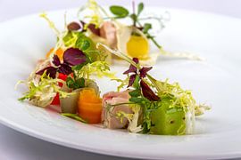 Salat kandiertes Hühnerfleisch mit Gurke, Karotte, Schalotte und Rosine von Fotografie-Broenink
