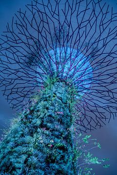Blue Supertree by Jane-Beverly Dughera