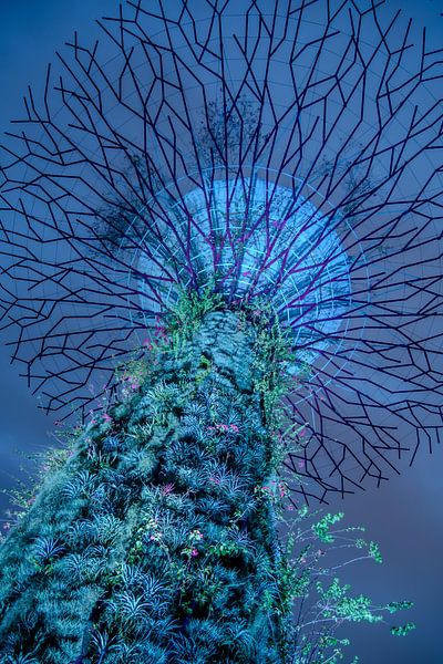 Blauer Supertree von Jane-Beverly Dughera