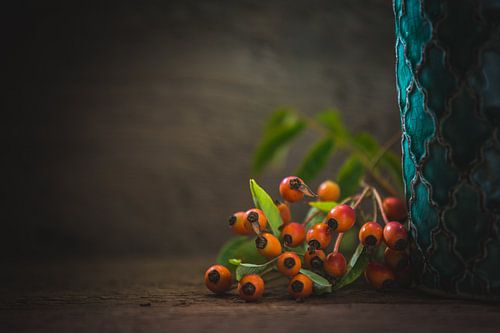 Laatste rozenbottels