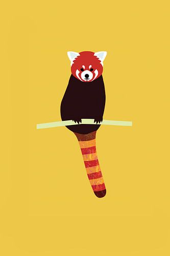 Le panda rouge