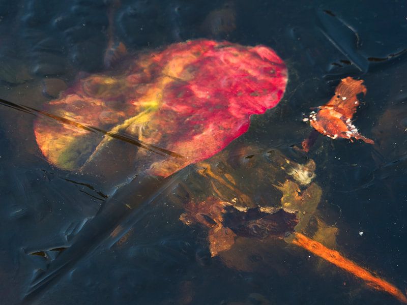 Abstrait coloré par Machiel Zwarts