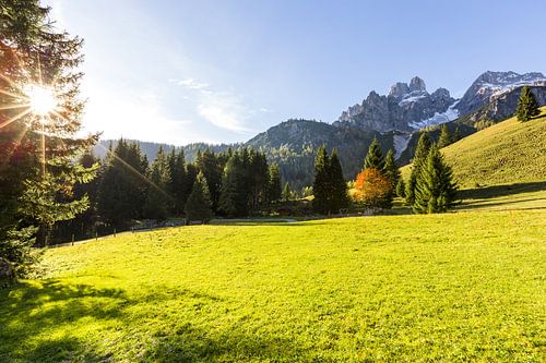 Berglandschap "Zonnige Bergweide"