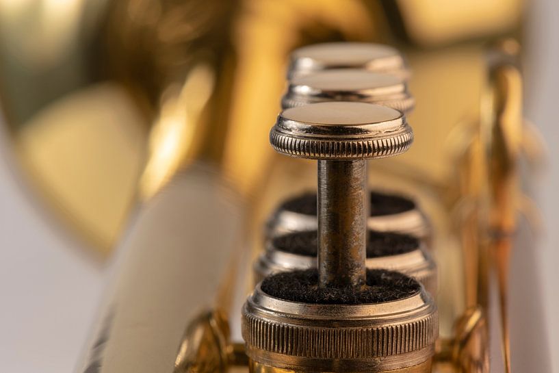 Muziekinstrument trompet in detail by Tonko Oosterink