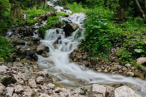 Waterval in bossen van Oosterijk