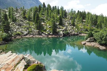 The Engadin mountains offer a harmonious blend of alpine expanses, crystal-clear lakes and gentle larch forests. The landscape is flooded with light, peaceful and majestic at the same time - a natural paradise in the heart of Switzerland. by Miriam Schwarzfischer Fotografie