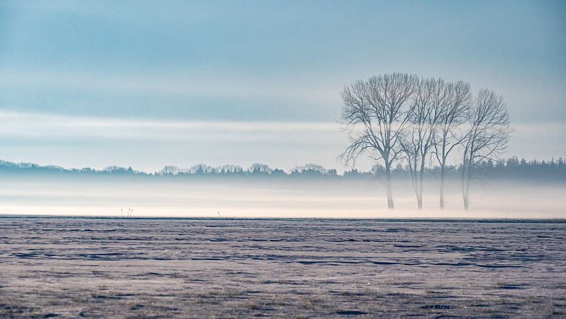 Winter landscape. by Vincent Bottema