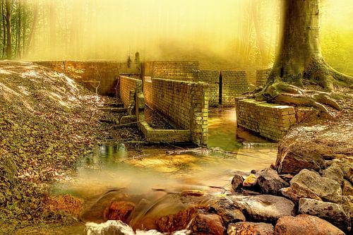 Watercourse forest Marknesse in mysterious atmosphere