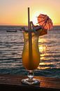 Cocktail bij zonsondergang in Fiji van Erwin Blekkenhorst thumbnail