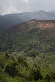 Ténèbres sur Michelle van Merrienboer