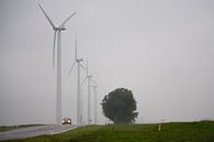 Herfst van Adri FRIJTERS thumbnail