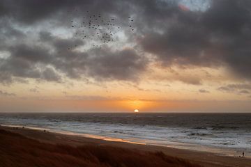 Zonsondergang en avondwandeling op strand van Texel van Marianne van der Zee