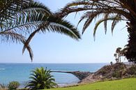 Strand tenerife palmbomen van Wouter Nassen thumbnail