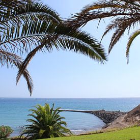 Strand Teneriffa Palmen von Wouter Nassen