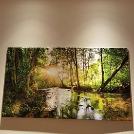 Kundenfoto: Wald mit Bach von Günter Albers, auf leinwand