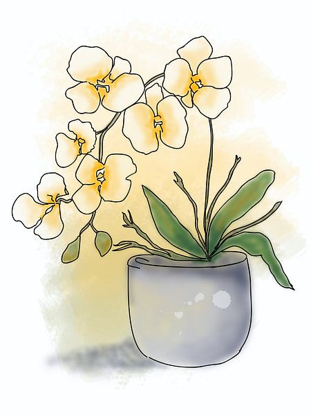 Gelbe Orchidee im Topf Illustration von Golden Haze Studio