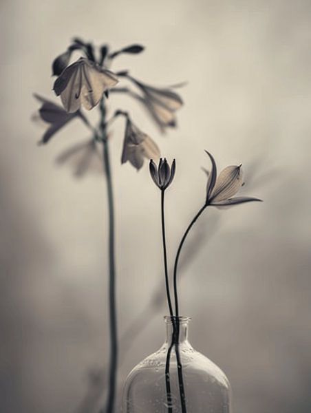 Nature morte à l'allure rêveuse par Japandi Art Studio