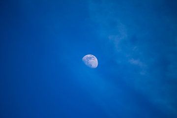 Full Moon van Roger Hagelstein