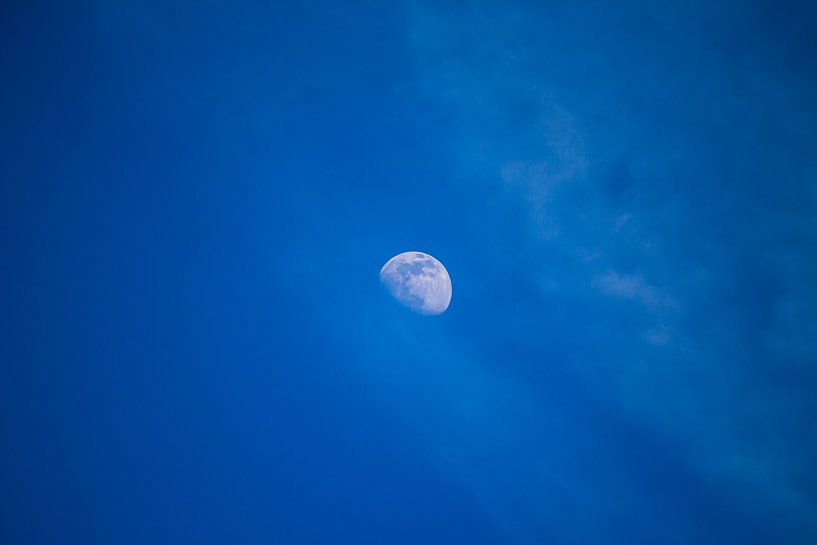 Full Moon by Roger Hagelstein