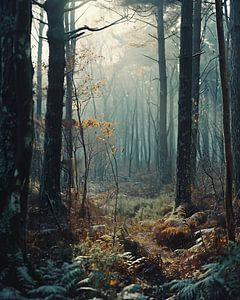 Spaziergang im Wald