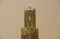 Close-up van de Domtoren van Utrecht van Donker Utrecht thumbnail