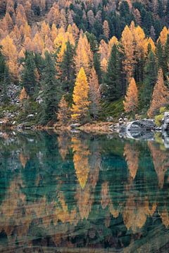 Herfst reflectie