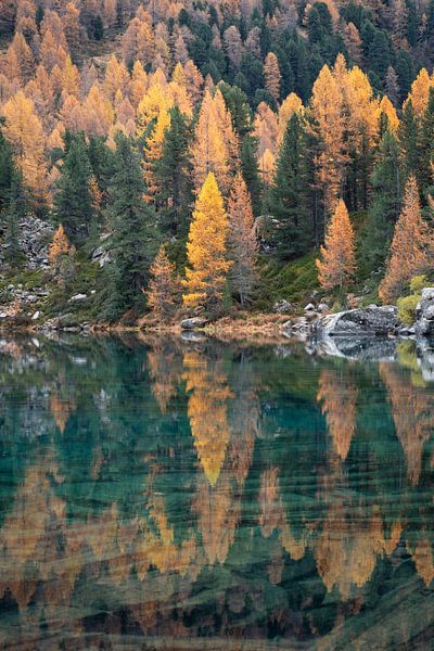 Herfst reflectie van Sander van der Werf