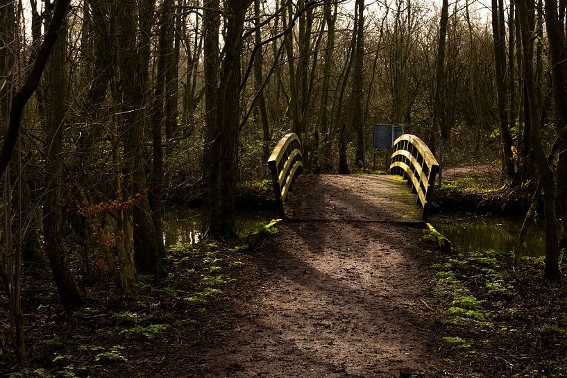 Pont dans la forêt de Berg par Ewan Mol