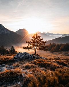 Ein Morgen in den Bergen