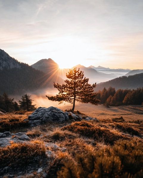 Ein Morgen in den Bergen von fernlichtsicht