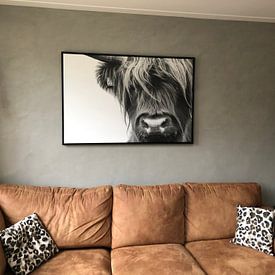 Customer photo: Portrait Scottish Highlander black and white by Sandra van Kampen, on canvas