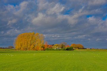 Herfstkleuren in de Henriëttewaard, Den Bosch van Hans Janssen