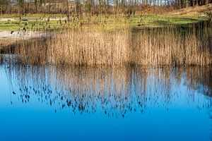 blauwe weerspiegeling van de lucht in het water van ChrisWillemsen