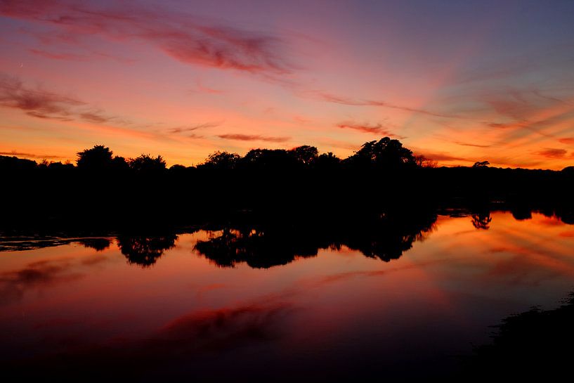 The New Forest by Steven Blahowetz