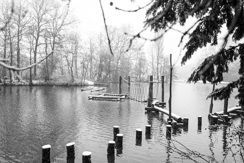 Winter van Okko Meijer