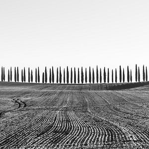 Matinée glacée dans le Val d'Orcia
