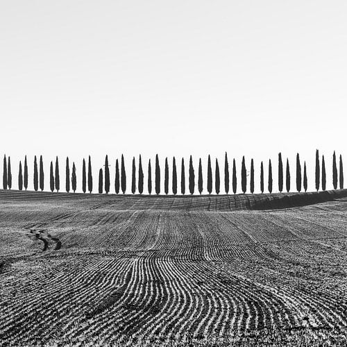 Bevroren ochtend in Val d'Orcia