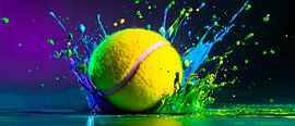 Splashing paint with tennis ball актион by Poster Art Shop