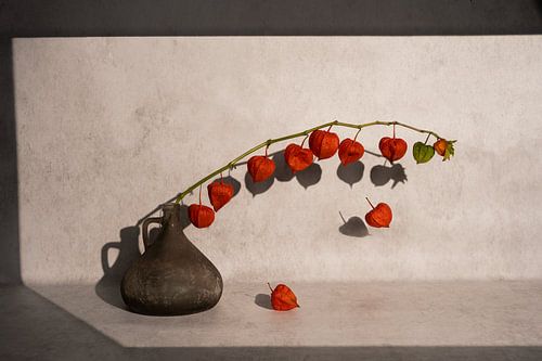 Modern still life with a lantern branch and a falling lantern by John van de Gazelle fotografie