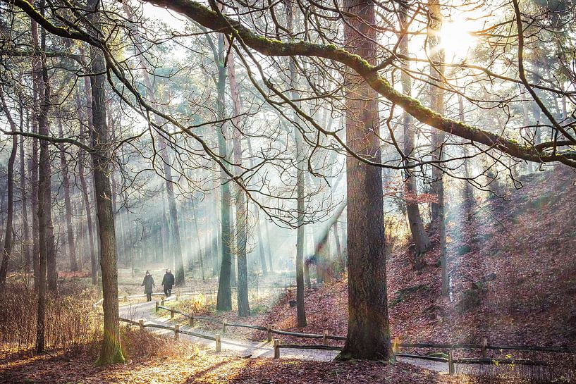 Morning walk Heidestein Zeist by Peter Haastrecht, van
