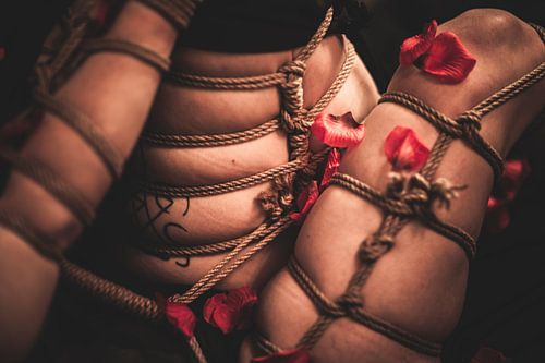 Bondage Roses