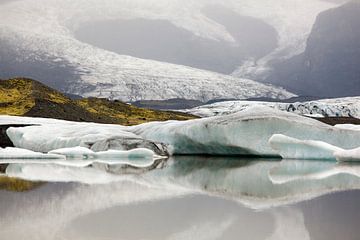 Fjallsarlon the Icelake von Ab Wubben