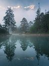 These moments are a photographer's dream, sunrise at Lake Eiibsee by Patrick Noack thumbnail