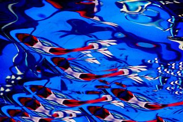 VISSEN ZWEMMEN 2 van Miroslav Ptacek