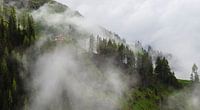 Cottage on the mountain in the fog