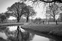 Bornse Beek
