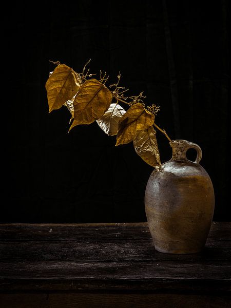 Golden leaves van Miriam Meijer, en pleine campagne.....